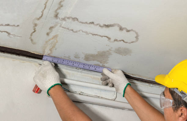 Reliable Water Damage Repair contractor in California, MO by Hirex Water Damage